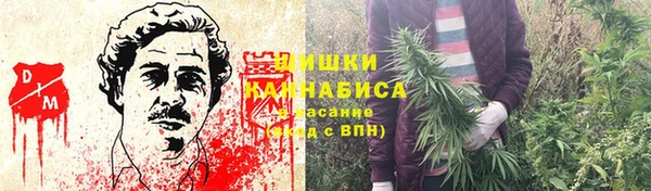 a pvp Лиски
