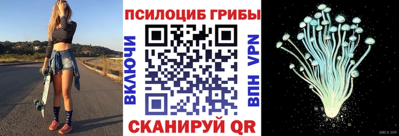 Галлюциногенные грибы GOLDEN TEACHER  наркотики  Невельск 